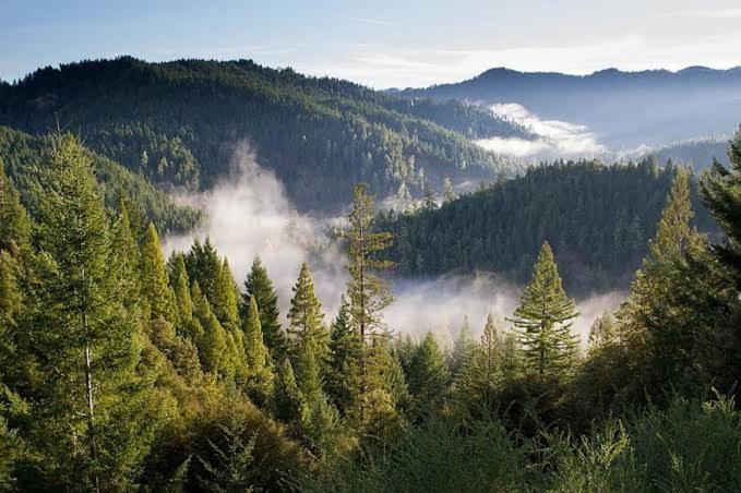 The Nature Dreams I Vacations I Conference I Mice I Family Events I Open Air Terrace I Sky Bonfire I Kufri By Exotic Stays Шимла Екстериор снимка