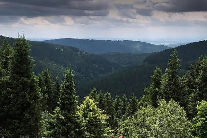 The Nature Dreams I Vacations I Conference I Mice I Family Events I Open Air Terrace I Sky Bonfire I Kufri By Exotic Stays Шимла Екстериор снимка