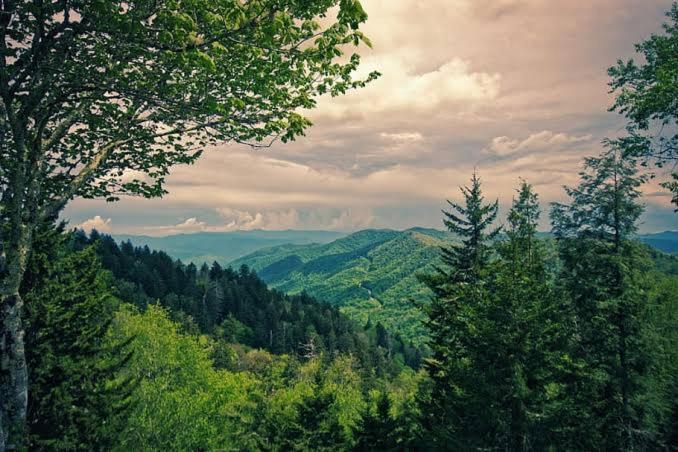 The Nature Dreams I Vacations I Conference I Mice I Family Events I Open Air Terrace I Sky Bonfire I Kufri By Exotic Stays Шимла Екстериор снимка