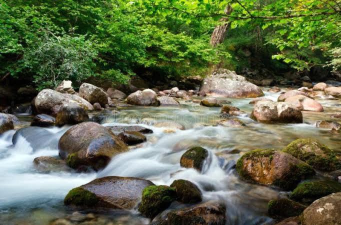 The Nature Dreams I Vacations I Conference I Mice I Family Events I Open Air Terrace I Sky Bonfire I Kufri By Exotic Stays Шимла Екстериор снимка